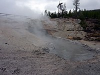 Yellowstone Norris Geyser Green Dragon Spring.JPG